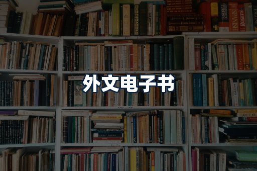 外文电子书